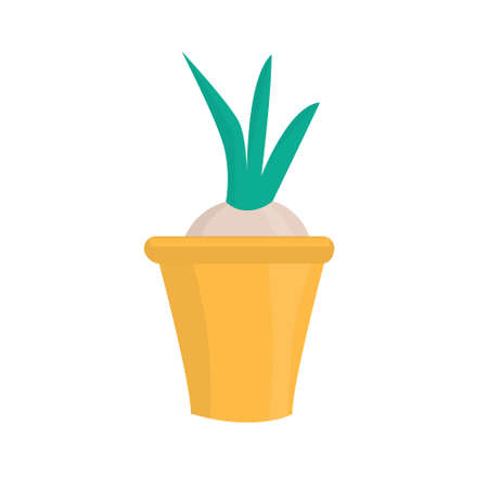 Liittle cute plant in yellow pot. Flat vector isolated illustrationのイラスト素材
