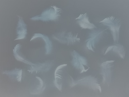 The color feather texture background imagesの写真素材