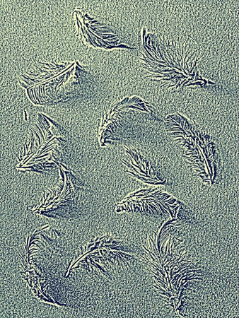 The colorful feather textures background wallpaperの写真素材