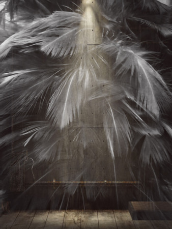 The colorful feather textures background wallpaperの写真素材