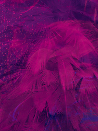 The colorful feather textures background wallpaperの写真素材