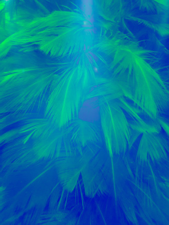 The colorful feather textures background wallpaperの写真素材
