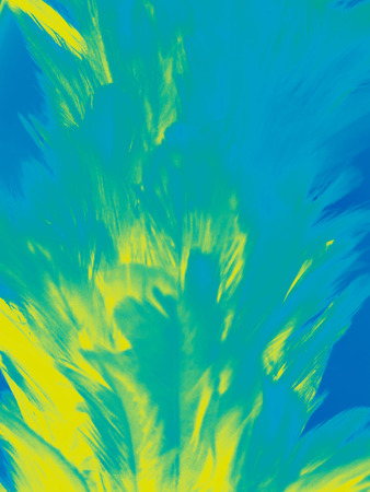 The colorful feather textures background wallpaperの写真素材
