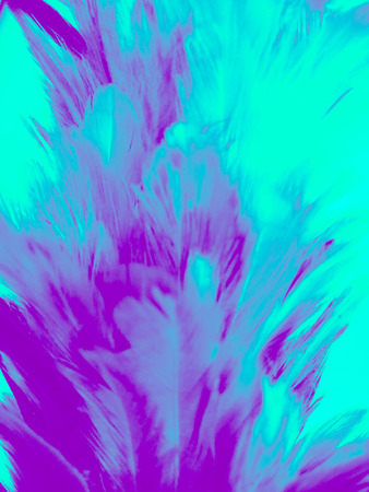 The colorful feather textures background wallpaperの写真素材