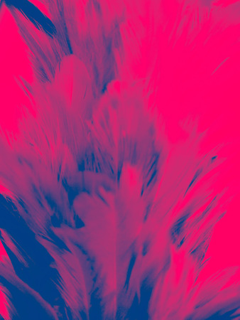 The colorful feather textures background wallpaperの写真素材
