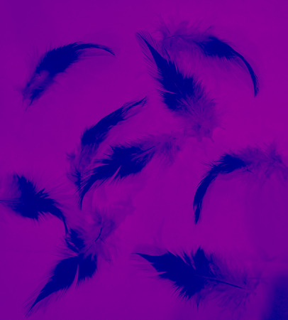 The colorful feather background textures wallpaperの写真素材