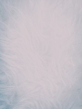 Wool feather background, texture and wallpapersの写真素材
