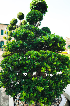 Wat Phra Kaew, commonly known in English as the Temple of the Emerald Buddha or grand palace is regarded as the most sacred Buddhist temple in Thailandの写真素材