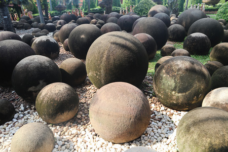 Beautiful green tree, plants, forest, rocks and flowers in the outdoor gardensの写真素材