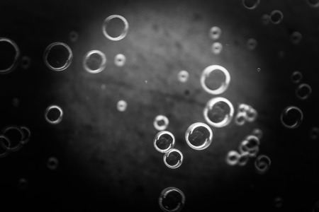 Beautiful black and white bubbles texture background and wallpaperの写真素材