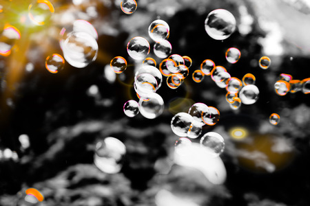 Beautiful colorful black and white soap bubbles texture background and wallpaper