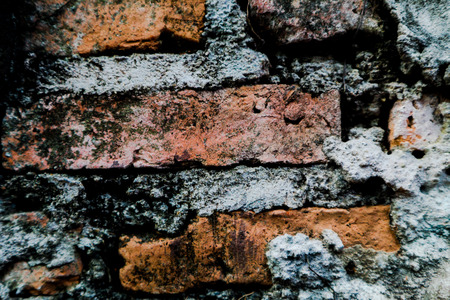 Beautiful rock wood and stone abstract texture background and wallpaperの写真素材