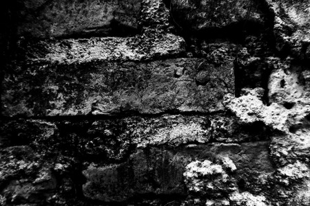 Beautiful rock wood and stone abstract texture background and wallpaperの写真素材