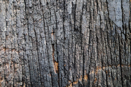 Beautiful rock wood and stone abstract texture background and wallpaperの写真素材