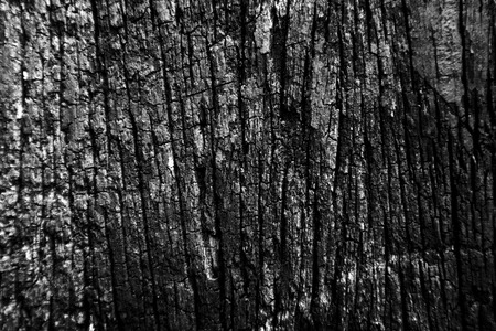 Beautiful rock wood and stone abstract texture background and wallpaperの写真素材