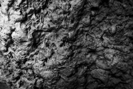 Beautiful rock wood and stone abstract texture background and wallpaperの写真素材