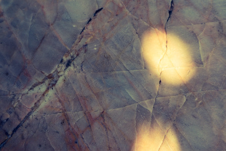 Beautiful rock wood and stone abstract texture background and wallpaperの写真素材