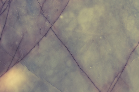 Beautiful rock wood and stone abstract texture background and wallpaperの写真素材