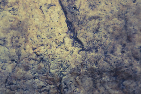 Beautiful rock wood and stone abstract texture background and wallpaperの写真素材