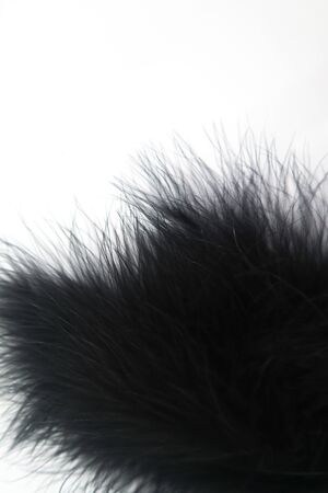 Beautiful abstract texture color red gray blue and black feathers on white isolated background and pattern wallpaperの写真素材