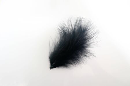 Beautiful abstract texture color red gray blue and black feathers on white isolated background and pattern wallpaperの写真素材
