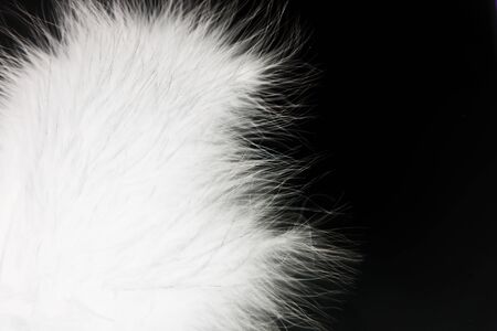 Beautiful abstract texture color white  feathers on black isolated background and pattern wallpaperの写真素材