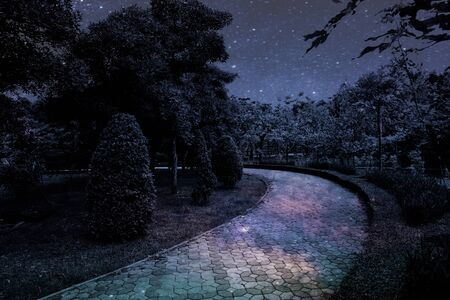 Beautiful abstract texture colorful black and white flowers and tree plant forest landscape  on the...