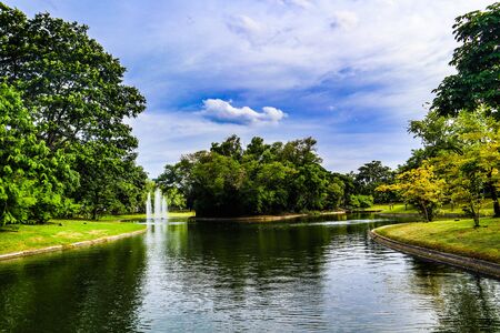 Beautiful abstract texture lake trees plants and forest landscape in the public nature green city parks and gardensの写真素材