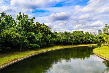 Beautiful abstract texture lake trees plants and forest landscape in the public nature green city parks and gardensの写真素材