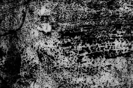 Beautiful abstract surface textures color  black and white granite tiles floor and black wood background and wallpaperの写真素材