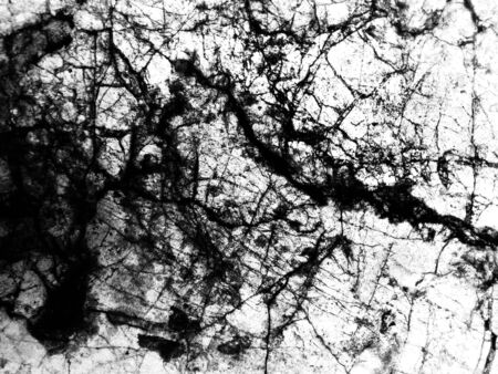 Beautiful abstract color surface gray black and white granite texture on white wall and white and black granite tiles floor patternの写真素材