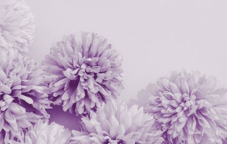 Beautiful abstract color blue and purple flowers on white background and blue flower frame and pink leaves texture, light purple background, colorful banner happy valentineの写真素材
