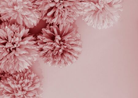 Beautiful abstract color white and red flowers on white background and white flower frame and pink leaves texture, light red background, colorful red banner happy valentineの写真素材