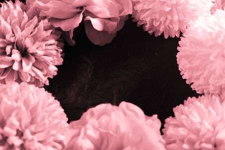 Beautiful abstract color blue pink and purple flowers on black background and blue graphic dark pink flower frame and pink leaves texture, purple background, colorful graphics bannerの写真素材