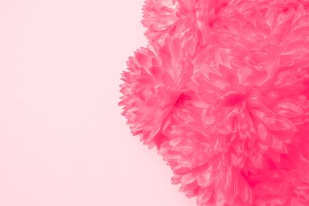 Beautiful abstract color orange pink flowers on white background and purple graphic white flower frame and pink leaves texture, pink background, colorful orange graphics bannerの写真素材