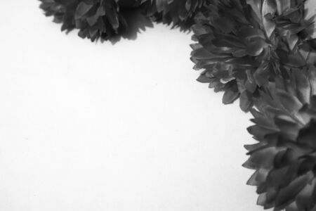 Beautiful abstract color black flowers on white background and blue graphic white flower frame and dark leaves texture, dark background, colorful graphics banner, white leaves, black leavesの写真素材
