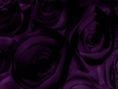Beautiful abstract color blue pink and purple flowers on black background and blue graphic dark pink flower frame and pink leaves texture, purple background, colorful graphics bannerの写真素材