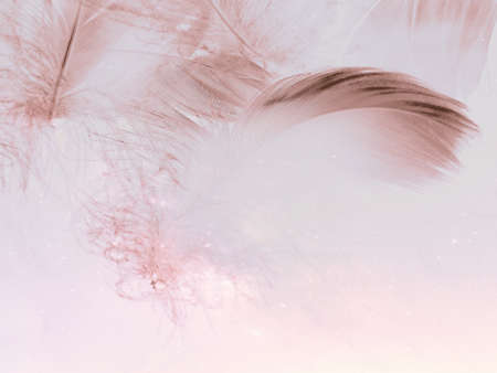 Beautiful abstract white and pink feathers on white background and soft white feather texture on pink pattern and pink background, feather background, pink bannersの写真素材
