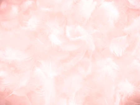 Beautiful abstract white and pink feathers on white background and soft white feather texture on pink pattern and pink background, feather background, pink bannersの写真素材