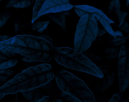 Worker driving forklift loading and unloading shipment carton boxes and goods on wooden pallet from container truck to warehouse cargo storage in logistics and transportation industrialの写真素材