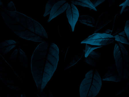 Worker driving forklift loading and unloading shipment carton boxes and goods on wooden pallet from container truck to warehouse cargo storage in logistics and transportation industrialの写真素材