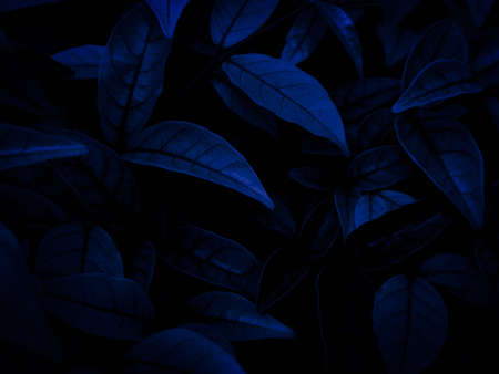 Worker driving forklift loading and unloading shipment carton boxes and goods on wooden pallet from container truck to warehouse cargo storage in logistics and transportation industrialの写真素材