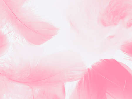 Beautiful abstract white and pink feathers on white background and soft white feather texture on pink pattern and pink background, feather background, pink bannersの写真素材