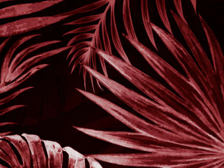 Beautiful abstract color pink and red rose flowers on dark background and light black flower frame and red leaves texture, red background, red banner happy valentineの写真素材