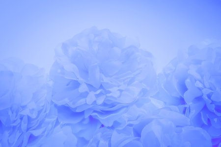 Beautiful abstract color blue flowers on blueの写真素材