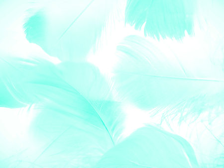 Beautiful abstract yellow and green feathers on dark background, black feather texture on dark pattern and green background, feather wallpaper, love theme, valentines dayの写真素材