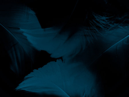 Beautiful abstract blue feathers on dark background, black feather texture on blue pattern and blue background, feather wallpaper, blue banners, love theme, valentines day, dark textureの写真素材