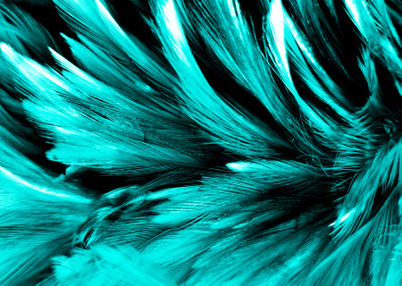 Beautiful abstract yellow and green feathers on dark background, black feather texture on dark...