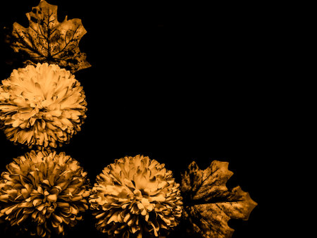Beautiful abstract color white and yellow flowers on black background, light brown flower frame,...