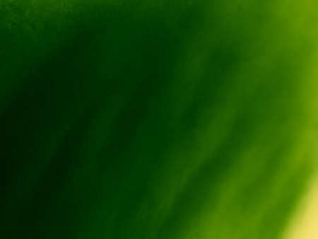 Beautiful abstract color yellow and green marble on white background and gray and green granite tiles floor on green background, soft green gradient texture, yellow wallpaper, yellow themeの写真素材